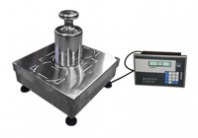 Mass comparator
